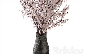 Sakura in a vase