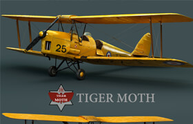 Tiger moth