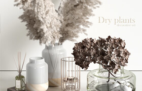 Decorative set with dry plants 4