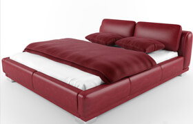 Red Leather Bed