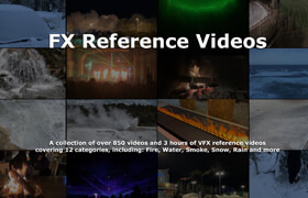 Gumroad - FX Reference Videos
