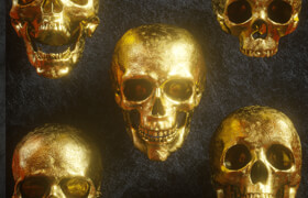 Billelis 3D Skull Model Pack Vol 1