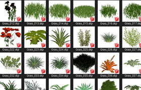 Grass for sketchup