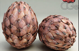 Turbosquid - Fir Cones Collection