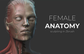 Udemy - Female Anatomy Sculpting in Zbrush