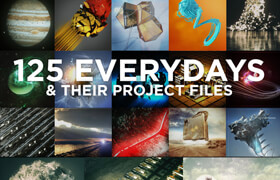 125 EVERYDAYS & PROJECT FILES