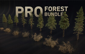 Gumroad - PRO FOREST BUNDLE Alter'49 - 3dmodel