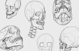 Udemy - Anatomy Art School Complete Skeleton Drawing Course