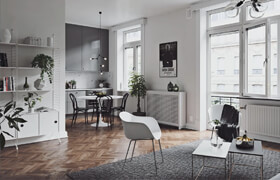 Viz.guru - Scandinavian interior