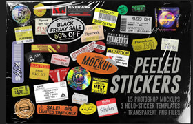 Creativemarket - flyerwrk Peeled Paper Stickers