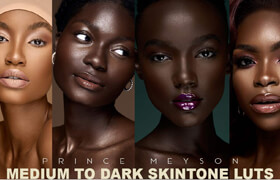 Prince Meyson - Medium to Dark SkinTone LUTs For Photoshop