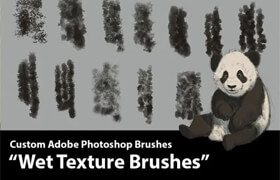 Aaron Blaise - Wet Texture Photoshop Brushes