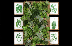 Vertical Garden 06