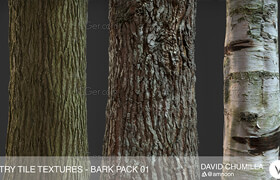 Gumroad - Photogrammetry Tile Textures - Bark Pack 01 - Textures