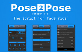 Pose2Pose - Facial Rigging System Plugin for After Effects