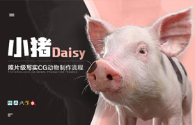 【正版】照片级写实CG动物《小猪Daisy》制作全流程 - 顽皮狗大神亲授