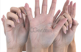 3D Scan Store - Ultimate Female Hands Pack