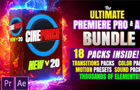 Cinepunch V20