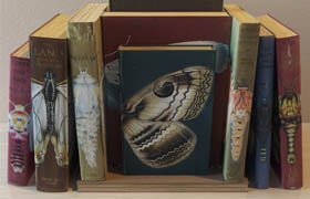 Books set &quot;Butterflys&quot