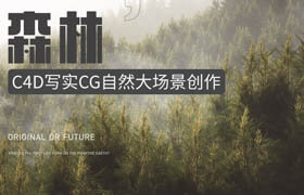 【正版】C4D 写实CG自然大场景表现《森林》系统教学