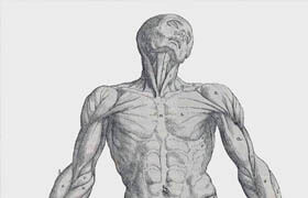 Anatomy For Artists - The Human Form Revealed - 2nd Ed. (2007)