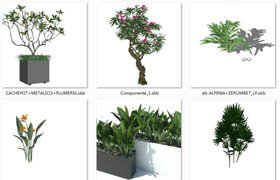 Sketchup plants