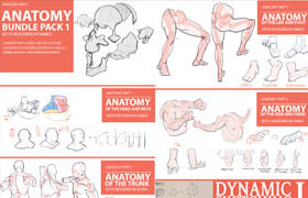 Gumroad - Anatomy Bundle Pack 1