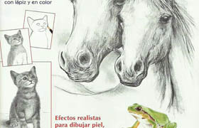 How to draw animals - books