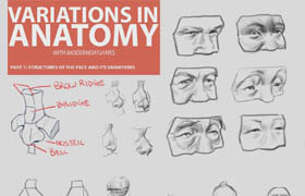 Modern Day James - VARIATIONS IN ANATOMY 1 _INTRO TO FACIAL FEATURES
