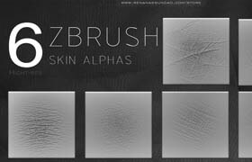 Cgtrader - ZBRUSH - HAND SKIN ALPHA PACK