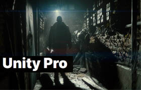 Unity 3D / Unity Pro