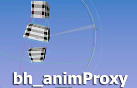 bh animProxy