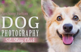 Craftsy - Dog Photography Sit Stay Click