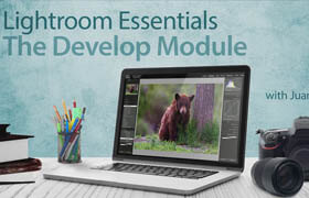 Craftsy - Lightroom Essentials The Develop Module
