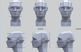 Artstation - Planes of the Head - Asaro Head Model by Gusztav Velicsek - 3dmodel