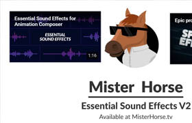 Mister Horse Essential Sound Effects V2