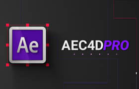 AEC4D Pro