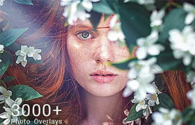 Inkydeals - 3000 Photo Overlays Pack