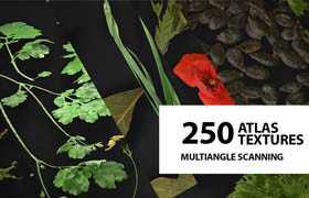 Artstation - Huge Atlas Pack (250) Foliage Spice Decals