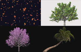ENVATO ELEMENTS - Trees and Plants Assets