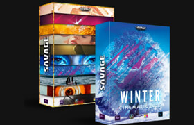 Savageluts - WINTER + ALL LUTS PACK