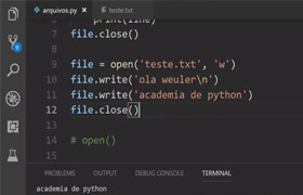 Programador Sagaz - Python Do Zero para Designer - Language-Português-BR