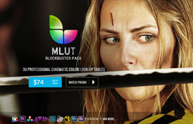 MotionVFX - MLUT BLOCKBUSTER PACK - lut