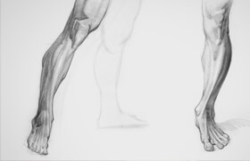 Proko - Anatomy course - Legs