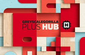 GreyscaleGorilla GSG Plus Hub Plugin Materials & Textures For Plus Library
