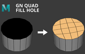 GN Quad Fill Hole