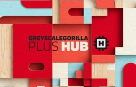 GreyscaleGorilla GSG Plus Hub Plugins HDRI & Materials 2021 Win