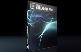 Mettle FreeForm Pro