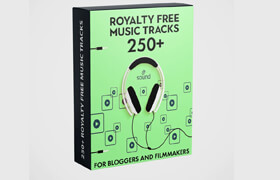Video Presets - 250+ Royalty Free Background Music Tracks