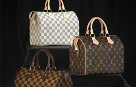 Louis Vuitton Speedy 25